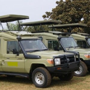 5. Tour/Safari Landcruiser