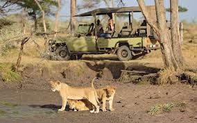 Self-Drive Safari Tips for First-Time Tourists in Kenya
