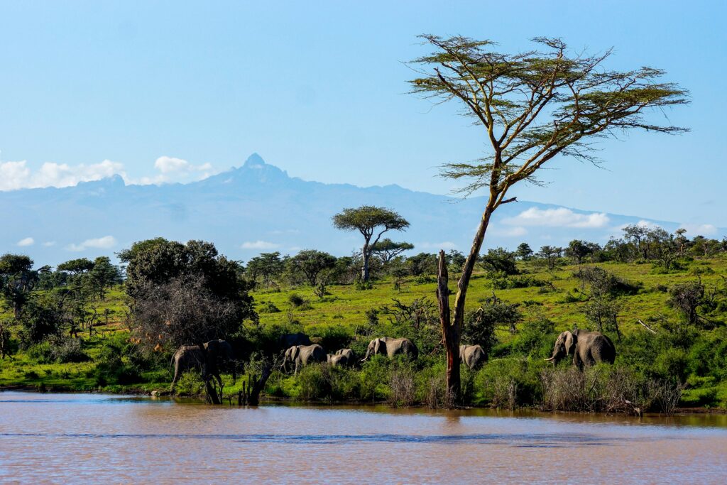 Renting a Car for Mount Kenya and Nanyuki Expeditions